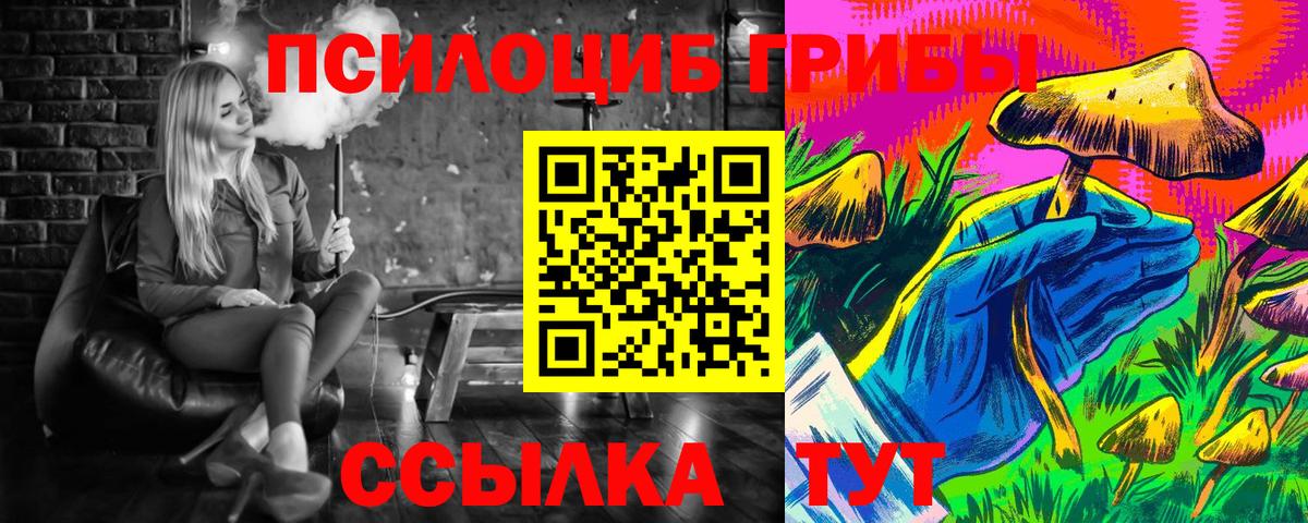 Псилоцибиновые грибы Psilocybine cubensis Аксай